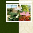 floricultura-viverde-garden
