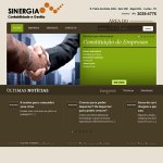 sinergia-sistemas-e-gestao-empresarial