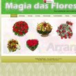 floricutura-magia-das-flores