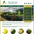 acacia-plantas-e-jardins