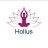 hollus-nucleo-holistico-terapeutico