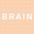 brain-pinheiros