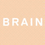 brain-pinheiros
