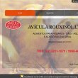 avicula-rouxinol