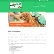 clivet-clinica-veterinaria