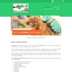 clivet-clinica-veterinaria