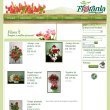florania-flores-e-decoracoes