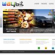 waybit-software