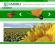 cadioli-implementos-agricolas