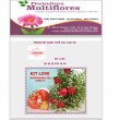 multiflores-floricultura