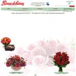 floricultura-rosas-de-saron