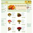 floresnet---sua-floricultura-on-line
