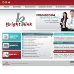 brightlink-consultoria-empresarial