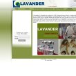 lavander
