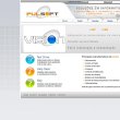 pulsoft-consultoria-e-informatica-ltda