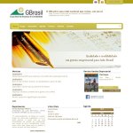 g-brasil-grupo-brasil-de-empresas-de-contabilidade
