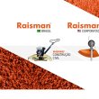 raisman-ind-e-com-de-componentes-para-motores-ltda
