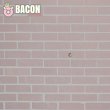 bacon-paradise