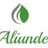 aliunde-consultoria-empresarial