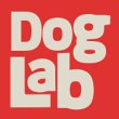 dog-lab