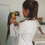 natalia-costa-veterinaria-de-silvestres-e-exoticos