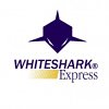 whiteshark-express-trading