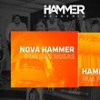 hammer-academia