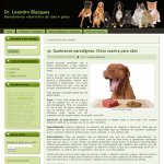 qualivet-clinicas-veterinarias-ltda