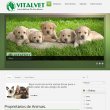 centro-de-reabilitacao-spa-e-fitness-veterinario---vitalvet