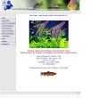 netuno-aquarium-peixes-ornamentais-ltda